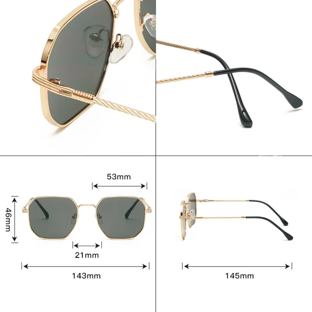 Lentes de Sol 2026 / Dorado-Negro C143