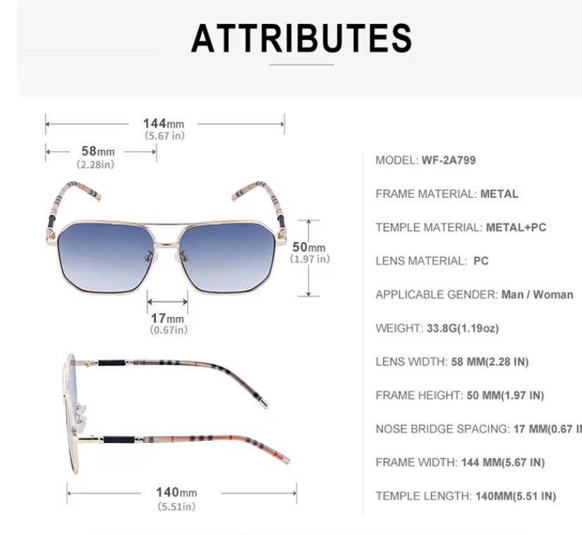 Lentes de Sol 2026 / C161