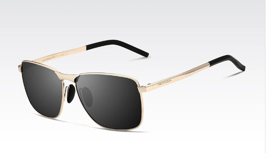 Lentes de Sol 2026 / Negro-Dorado C155