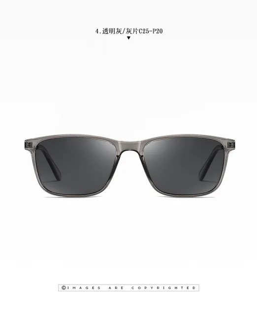 Lentes de Sol 2026   / Gris C105