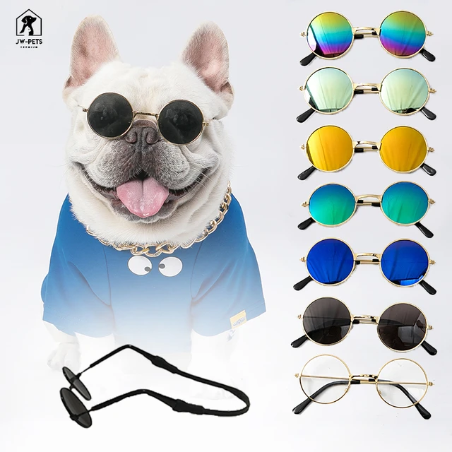 Gafas de sol para Mascota T02/ morado