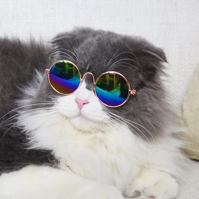 Gafas de sol para Mascota T02/ Azul-Verde
