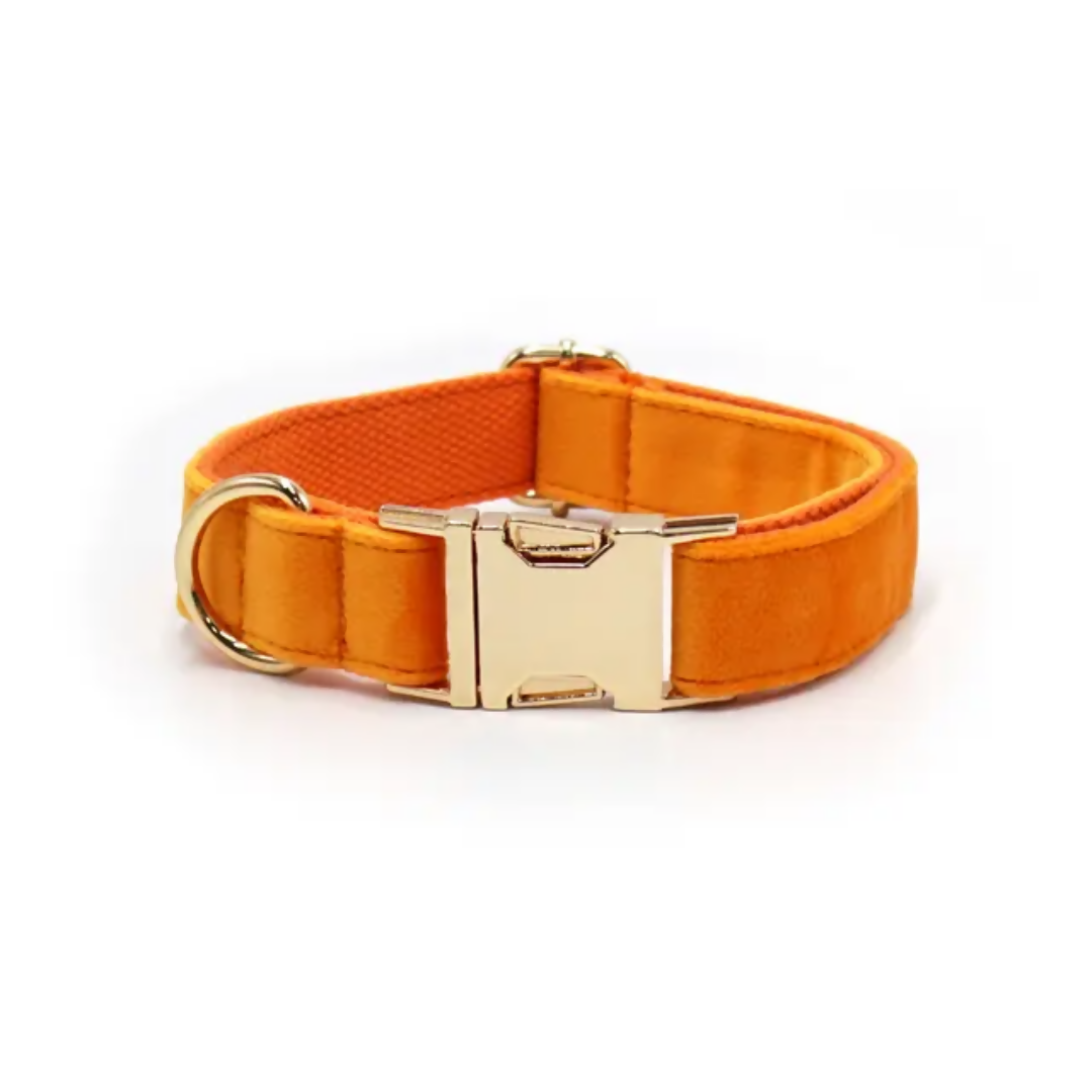COLLAR PARA PERRO MC10
