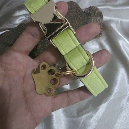 PLACA ACERO HUELLA MP01