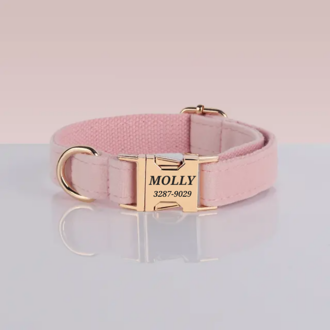 COLLAR PARA PERRO MC10