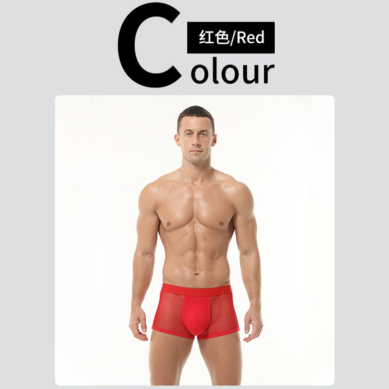 Boxer transparente / K405 rojo