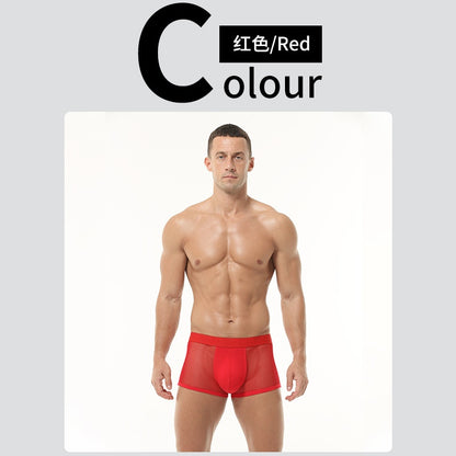 Boxer transparente / K405 rojo