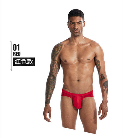 Calzoncillo - Seda de Hielo - Rojo-K151